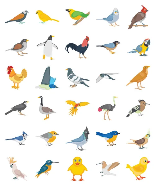 バリエーションの色合いと素晴らしいスタイルを持つ鳥のイラストパック 構造のいくつかの他の並べ替えのための完璧なセット 完全に編集可能 — ストックベクタ