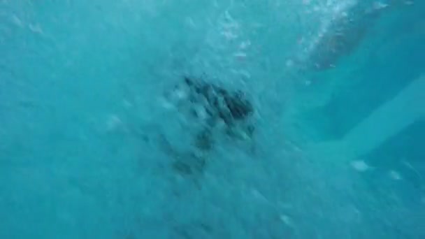 Gelukkig Preteen Jongen Springen Het Zwembad Zomer Levensstijl Concept — Stockvideo