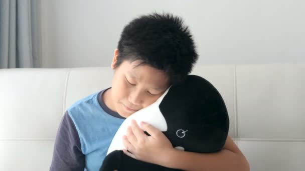 Asian Boy Hugging Black White Whale Soft Doll While Sitting — Stock Video