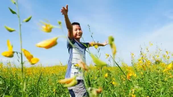 アジアの少年の晴れた日に黄色のお花畑を歩く — ストック動画