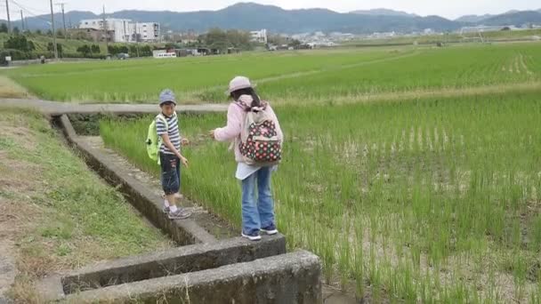 Asiático Niños Jugar Arroz Campo Aire Libre Concepto Actividad — Vídeos de Stock