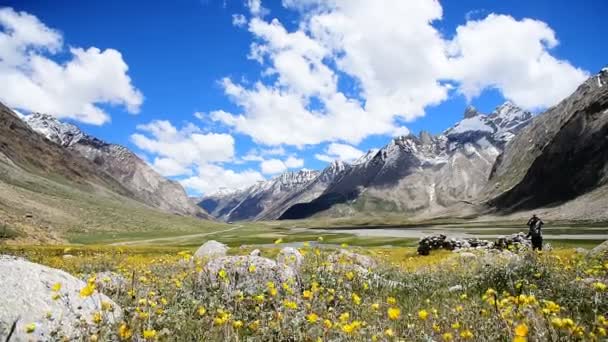 depositphotos_197070322-stock-video-flower-field-himalayan-mountain-background.jpg