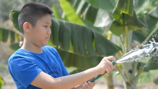 Aziatische Jongen Plantition Banaan Veld Zonnige Dag — Stockvideo