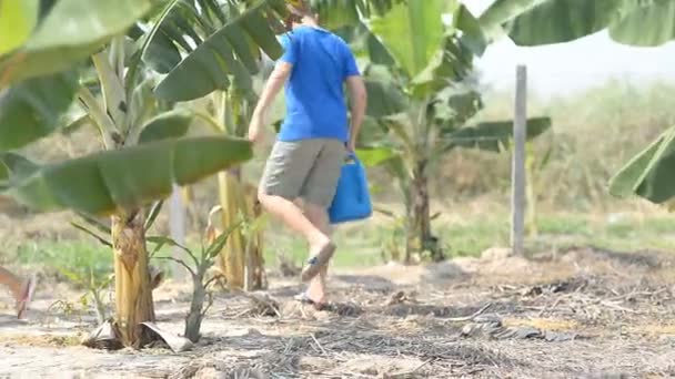 Asiatischer Junge Pflanzt Bananenfeld Sonnigem Tag — Stockvideo