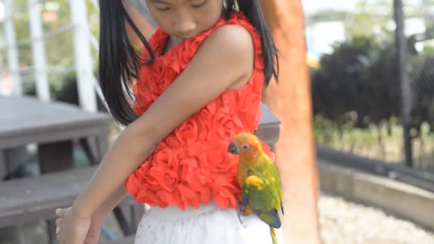 Попугай Девушкой Открытом Воздухе — стоковое видео