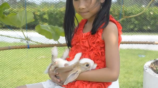 Asiatique Fille Jouer Avec Bébé Lapin Extérieur — Video