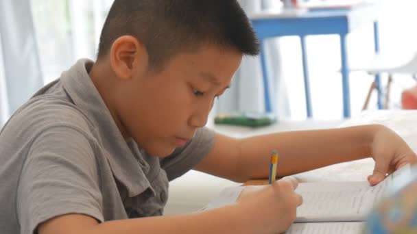 Asian Boy Doing Homework Home — Stock Video