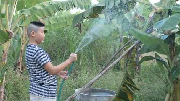 Ásia Menino Molhando Banana Árvore Fazenda Nublado Dia — Vídeo de Stock