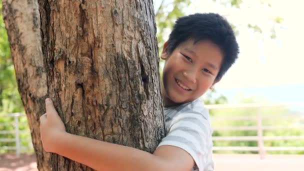 Asiático Chico Abrazando Árbol Cámara Lenta — Vídeo de stock