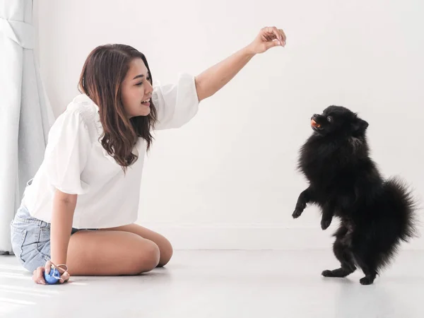 Feliz Mujer Asiática Alimentando Juega Con Perro Negro Concepto Estilo — Foto de Stock