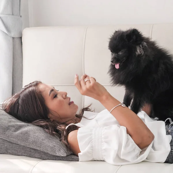 Feliz Mujer Asiática Jugando Con Perro Negro Sofá Casa Concepto — Foto de Stock