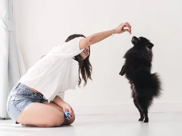 Happy Asian Woman Feeding Plays Her Black Dog Lifestyle Concept — Stock Photo, Image