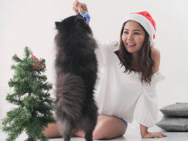 Happy Asian Woman Touching Her Black Dog Christmas Tree Lifestyle — Stock Photo, Image