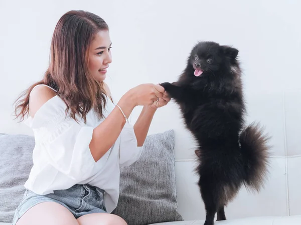 Feliz Mujer Asiática Jugando Con Perro Negro Sofá Casa Concepto — Foto de Stock