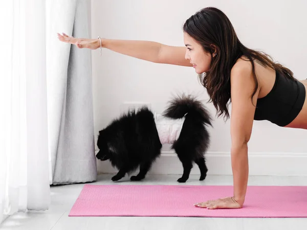 Onu Köpek Vasıl Yaşam Kavramı Ile Pembe Mat Yoga Yaparken — Stok fotoğraf