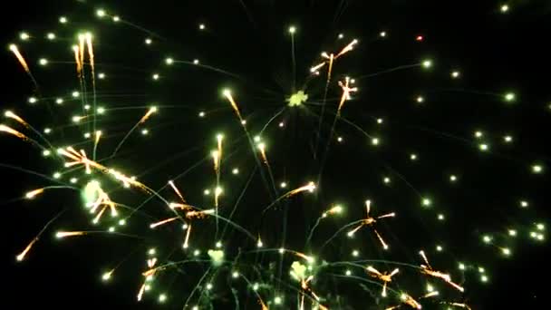 お祝いの概念と夜の花火 — ストック動画