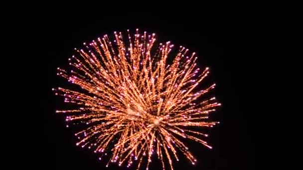 Fogos Artifício Noite Com Conceito Celebração — Vídeo de Stock