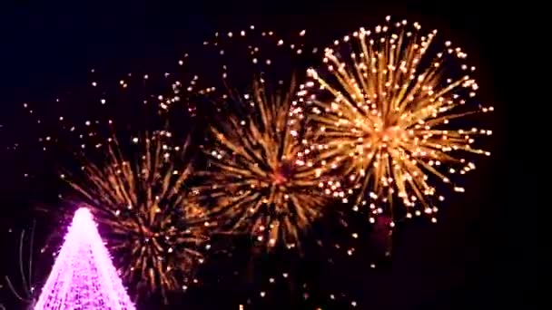 Artificii Arbore Iluminat Timpul Nopții — Videoclip de stoc