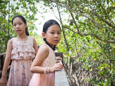 Güneşli bir gün Mangrove ormanda seyahat mutlu kızlar.