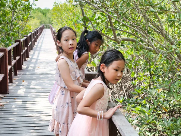 Filles heureuses voyageant dans la forêt de mangroves dans la journée ensoleillée . — Photo