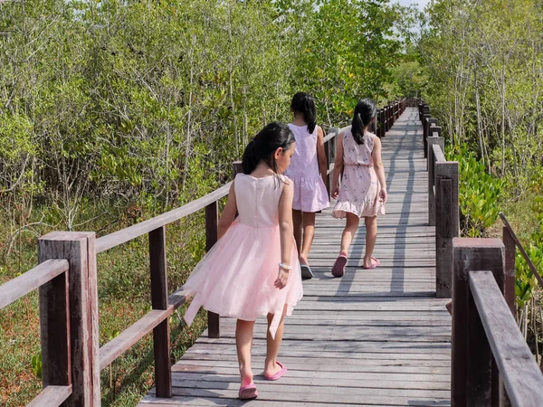 Щасливі дівчата подорожують в мангровому лісі в сонячний день . — стокове фото