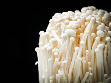 Siyah bacground ile enokitake mantar.