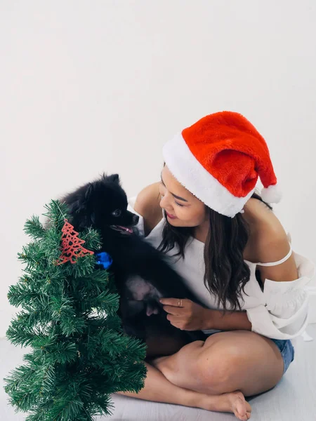 Happy Asian woman and her black dog decorating  christmas tree, — Stock Photo, Image