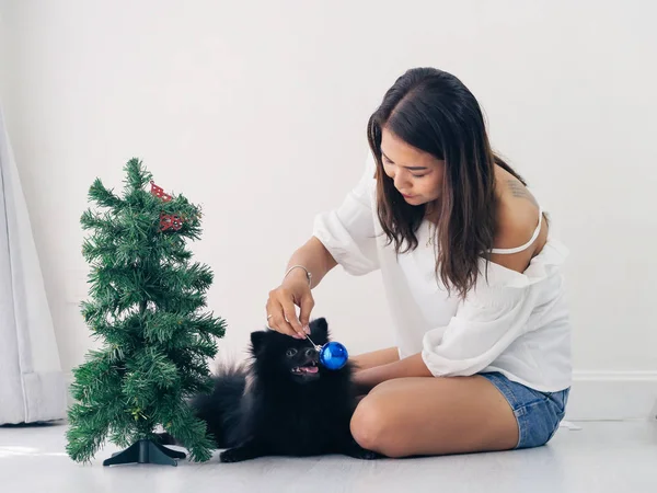 Happy Asian woman and her black dog decorating  christmas tree, — Stock Photo, Image