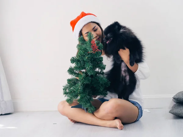 Happy Asian woman and her black dog decorating  christmas tree, — Stock Photo, Image