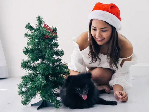 Happy Asian woman and her black dog decorating  christmas tree, — Stock Photo, Image