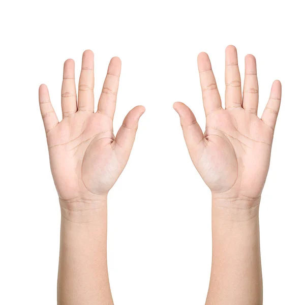 Mãos direita e esquerda pedindo ajuda no fundo branco — Fotografia de Stock