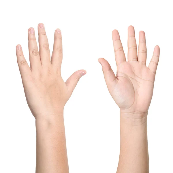 Mãos direita e esquerda pedindo ajuda no fundo branco — Fotografia de Stock