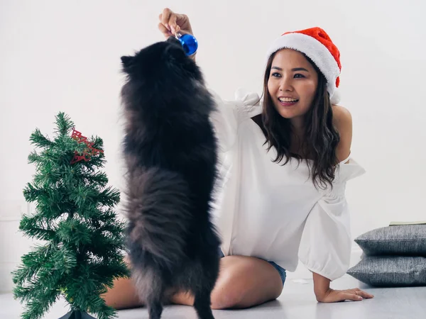 Glücklich asiatische Frau und ihr schwarzer Hund schmücken Weihnachtsbaum, — Stockfoto