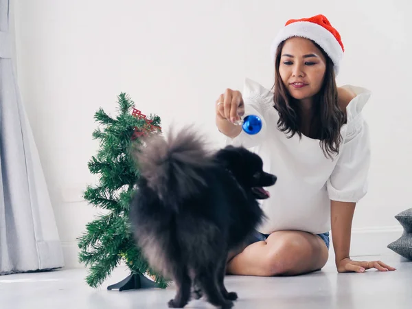 Glücklich asiatische Frau und ihr schwarzer Hund schmücken Weihnachtsbaum, — Stockfoto