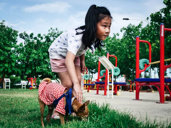 Felice ragazza asiatica divertirsi con i suoi cani nel parco all'aperto . — Foto Stock