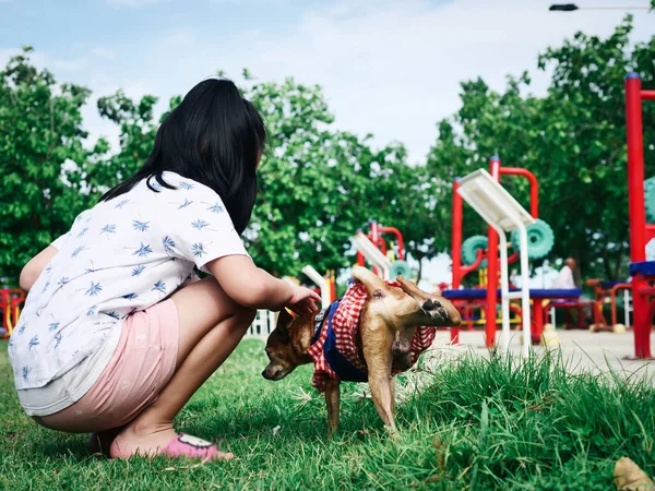 Šťastné asijské děvče se baví se svými psy v parku venku. — Stock fotografie