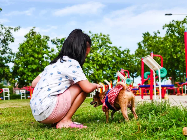 Glücklich asiatische Mädchen haben Spaß mit ihren Hunden in die Park outdoor. — Stockfoto