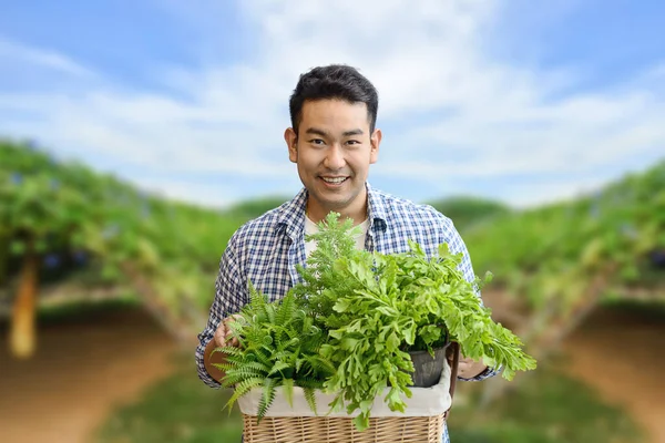 Ασιάτης που καλλιεργεί συγκομισμένο λαχανικό με αγροτικό υπόβαθρο, λιφ — Φωτογραφία Αρχείου