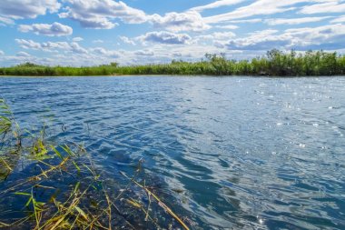 Mavi gökyüzü ve bulutlara karşı bitki örtüsü ile nehir görünümü
