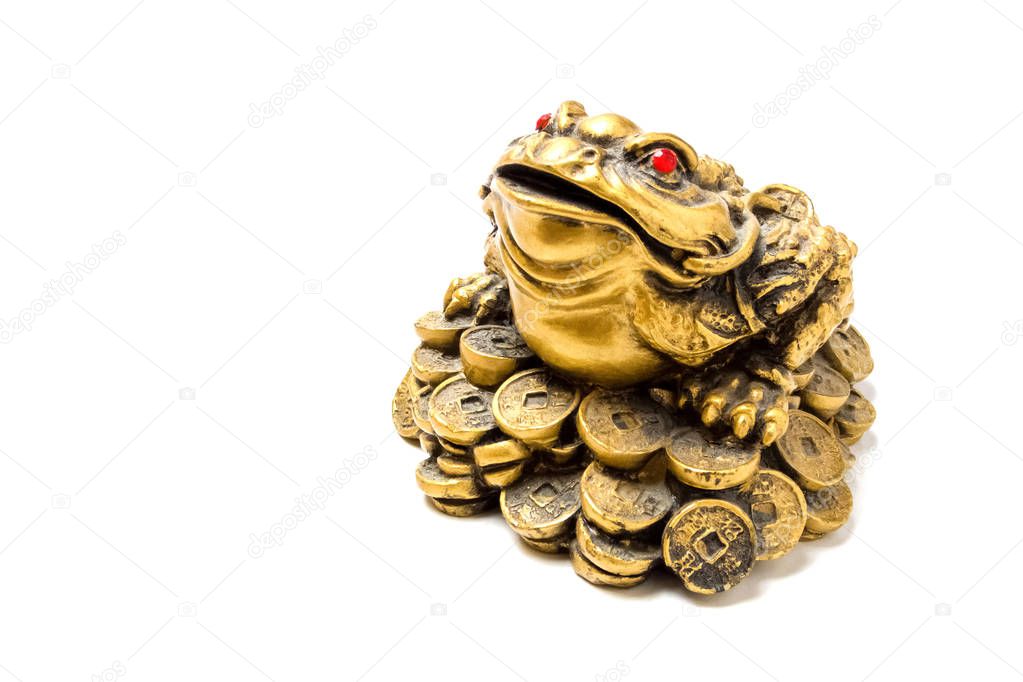Figurine of a money frog close-up on a white background