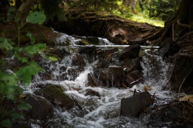 Georgia dağlarında dağ nehir akışı. Su öfkeleniyor kayaların içinde belgili tanımlık geçmiş yüksek dağlar arasındaki beyaz akışı