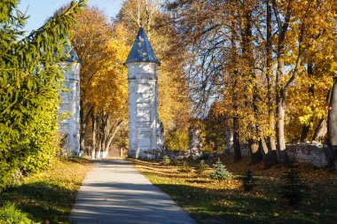 Altın Sonbahar, sarı güneş ışığı, ayak altında yaprakların ağaçlarda. Muhteşem Sonbahar ormanın içinde yürümek sarı orman ve altın sokak Bisiklete binme