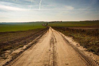 Toprak yol alanında mesafe içine gider. Yeşil çimen, yalnız ağaç ve parlak güneş.