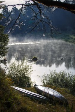 Web ağaçların dalları üzerinde gerilmiş. Birçok örümcek ağları, örümcek Krallık şafak vakti sis Nehri. Kano gezisi Şafağı