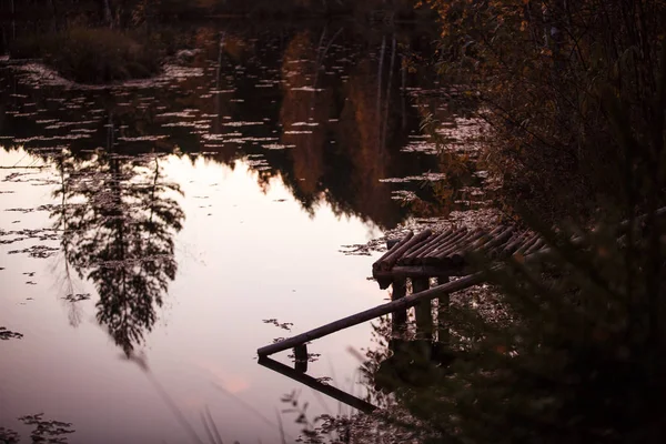 Reflejo Del Abeto Lago Crepúsculo Bosque Otoñal Reflexión Gráfica Puente — Foto de Stock