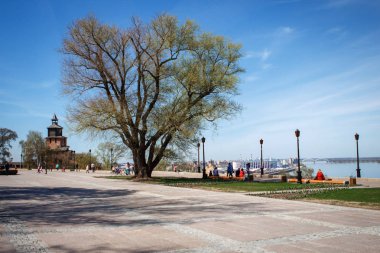 Nijniy Novgorod Kremlin duvarları büyük bir yayılan ağaç ve nehre bakan fenerler yakınında kare. Büyük ağaç bahar yeşile