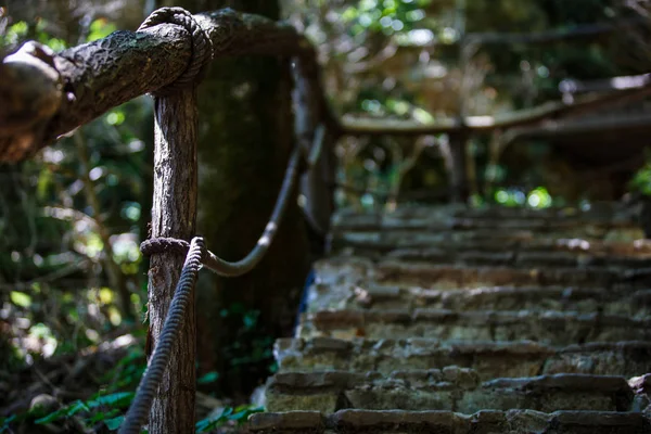 ハイキングコースの森を通る石の階段 木の裸の枝は 階段への狭い道をカバーし 木製の手すり — ストック写真