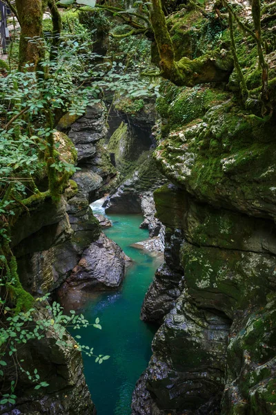 Martvili Каньйон Грузії Кам Яна Ущелина Синя Вода Внизу Стовбури — стокове фото