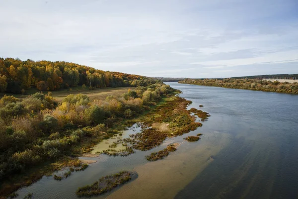 River valley in Russia, clear water with a sandy bottom, forest on the shore. Oka river in Russia in early autumn, the water surface, the turn of the river in the distance.