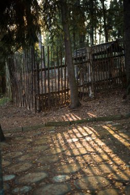 Eski harap bir binadaki bir sıra Windows 'un Chiaroscuro' su. Hayaletli bir binanın içinde göz korkutucu bir manzara.